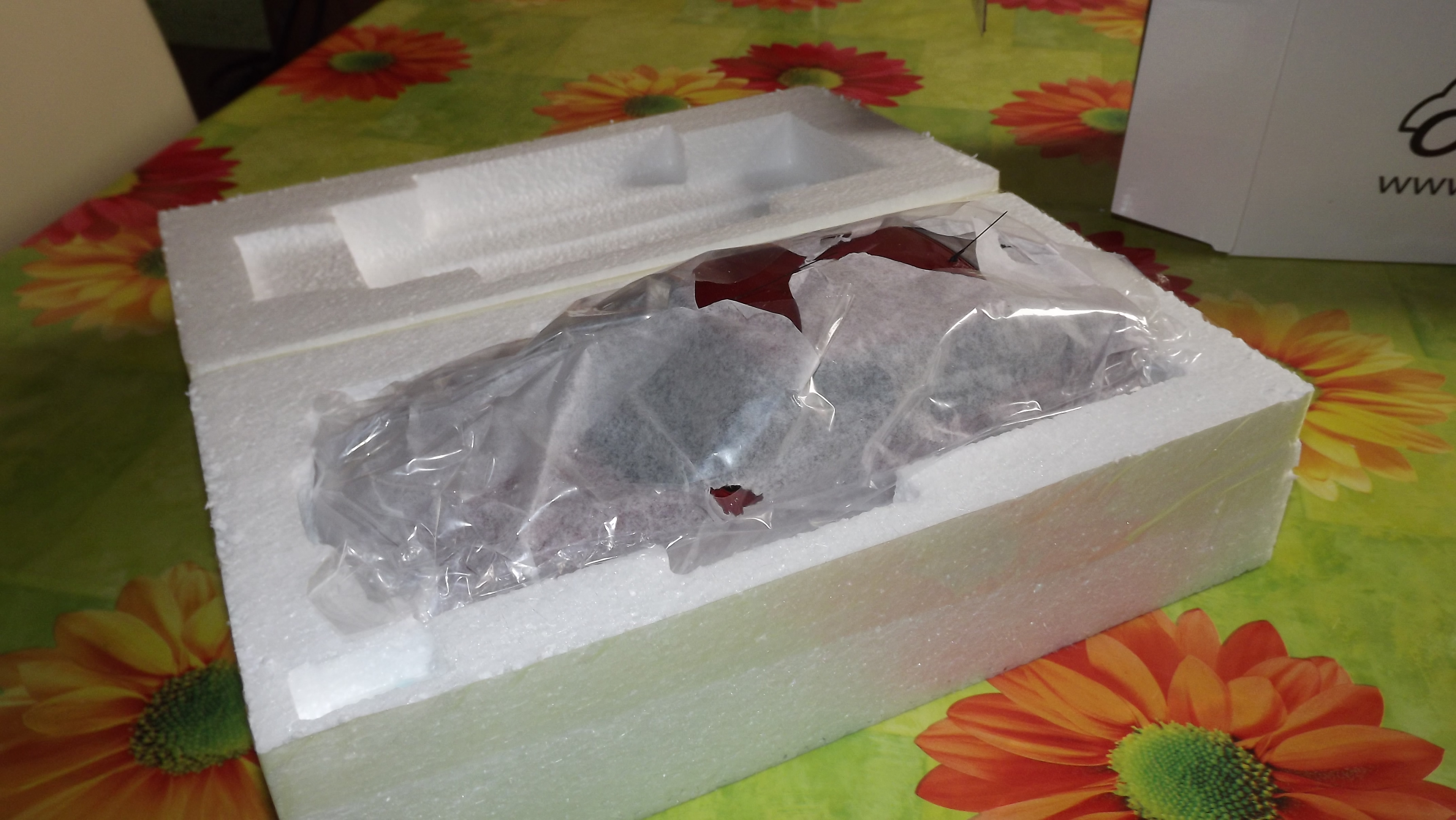 DSCF5817.JPG