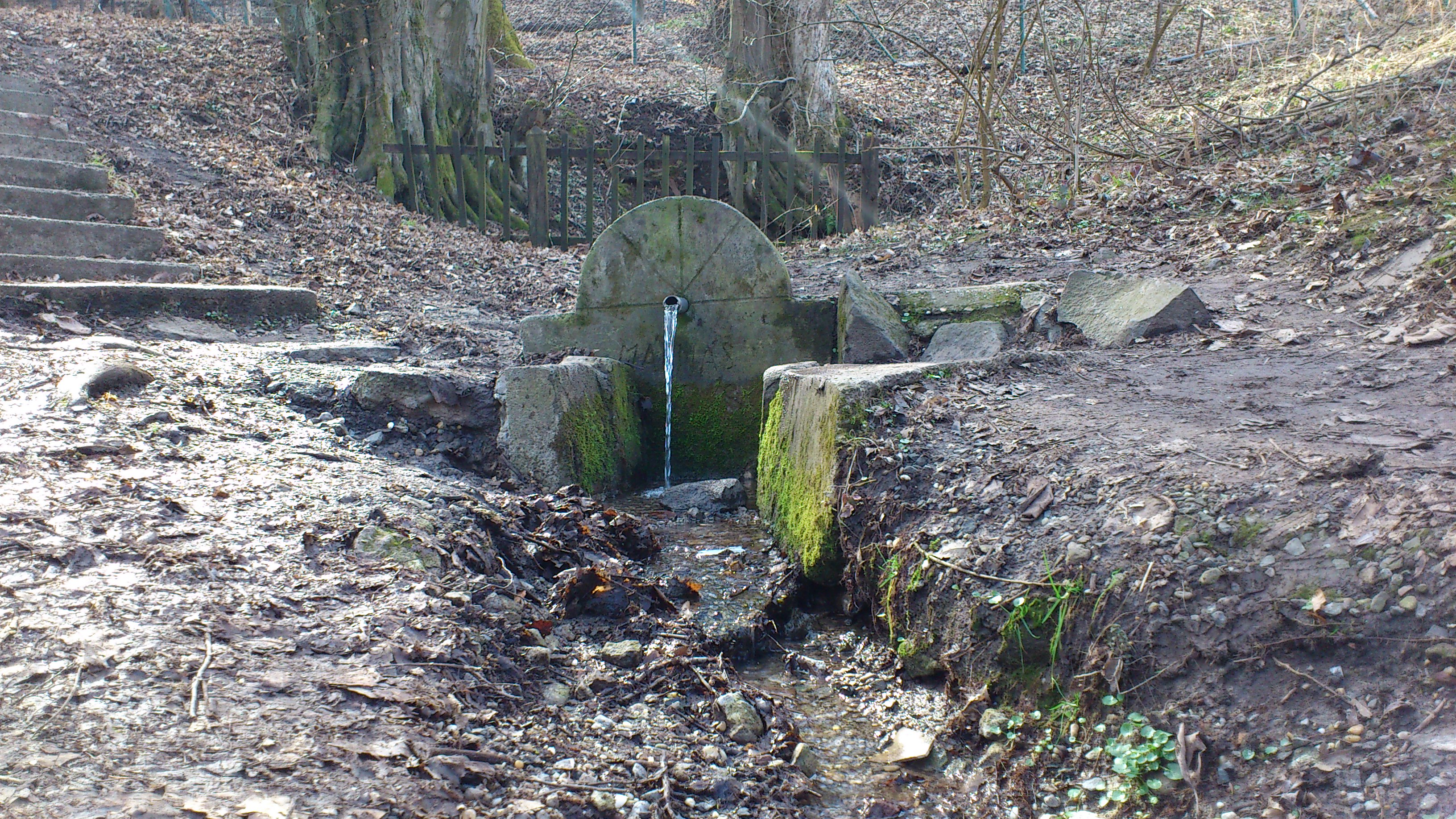 DSC_0023.jpg