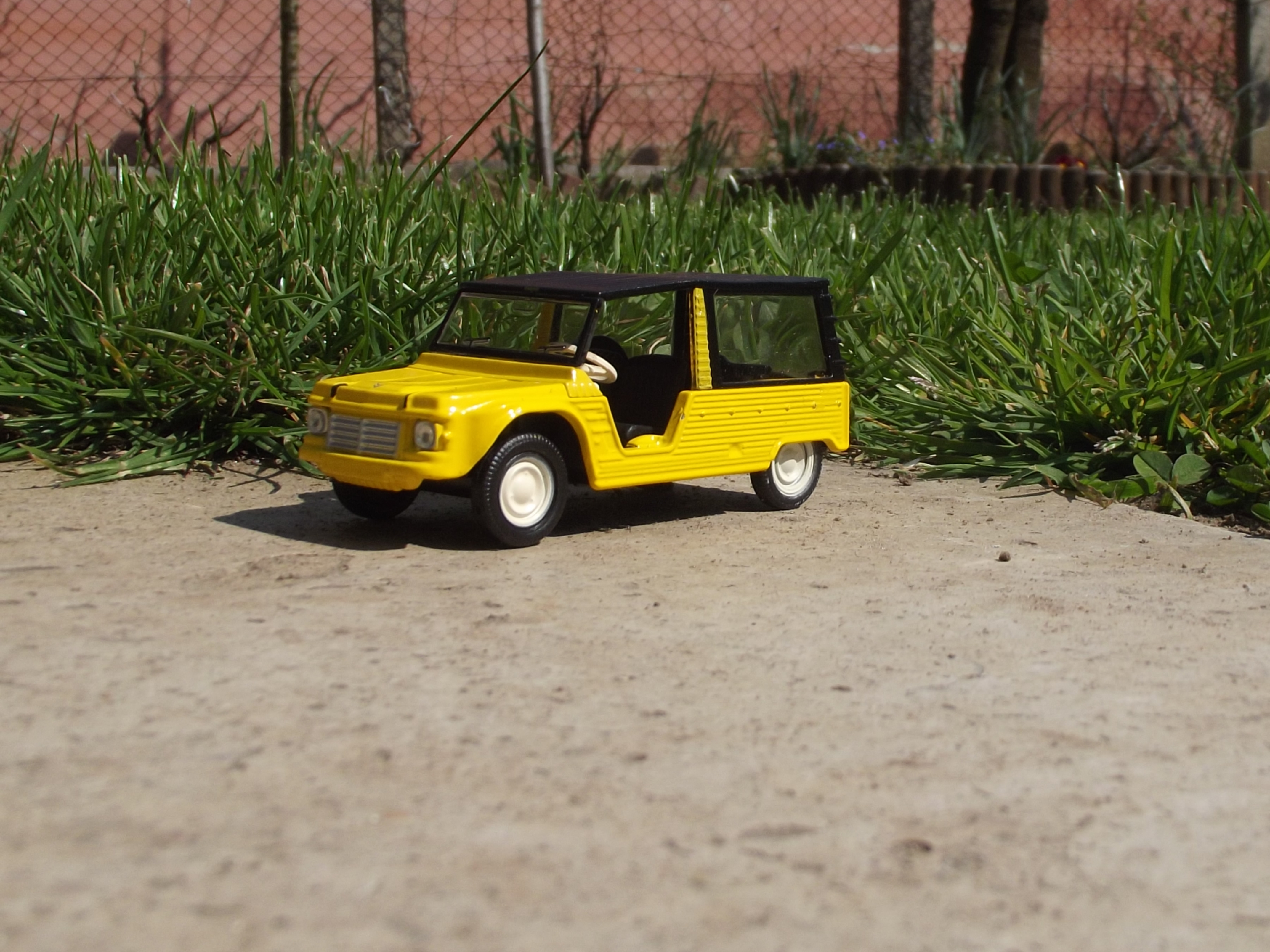 DSCF1117.JPG