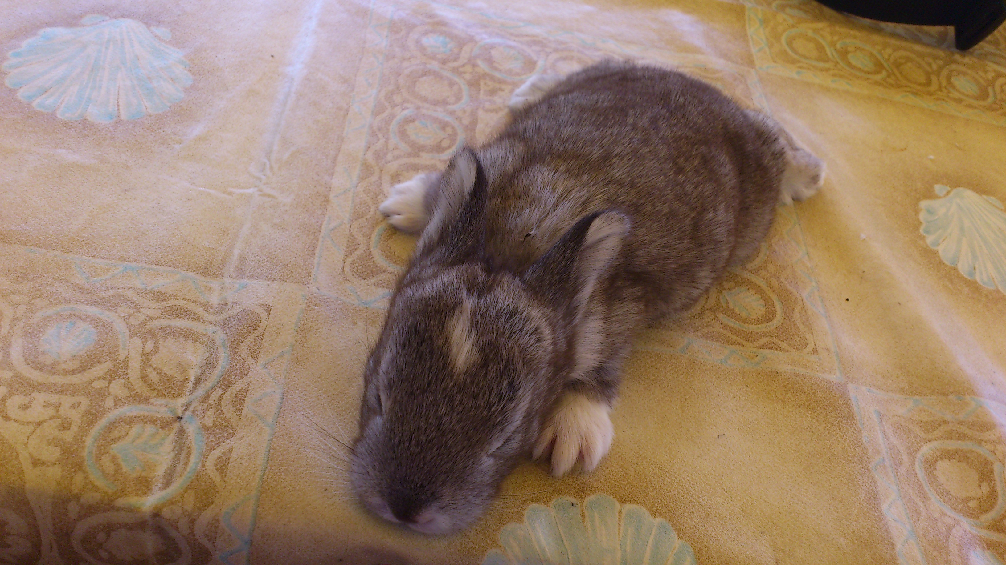 DSC_0211.jpg
