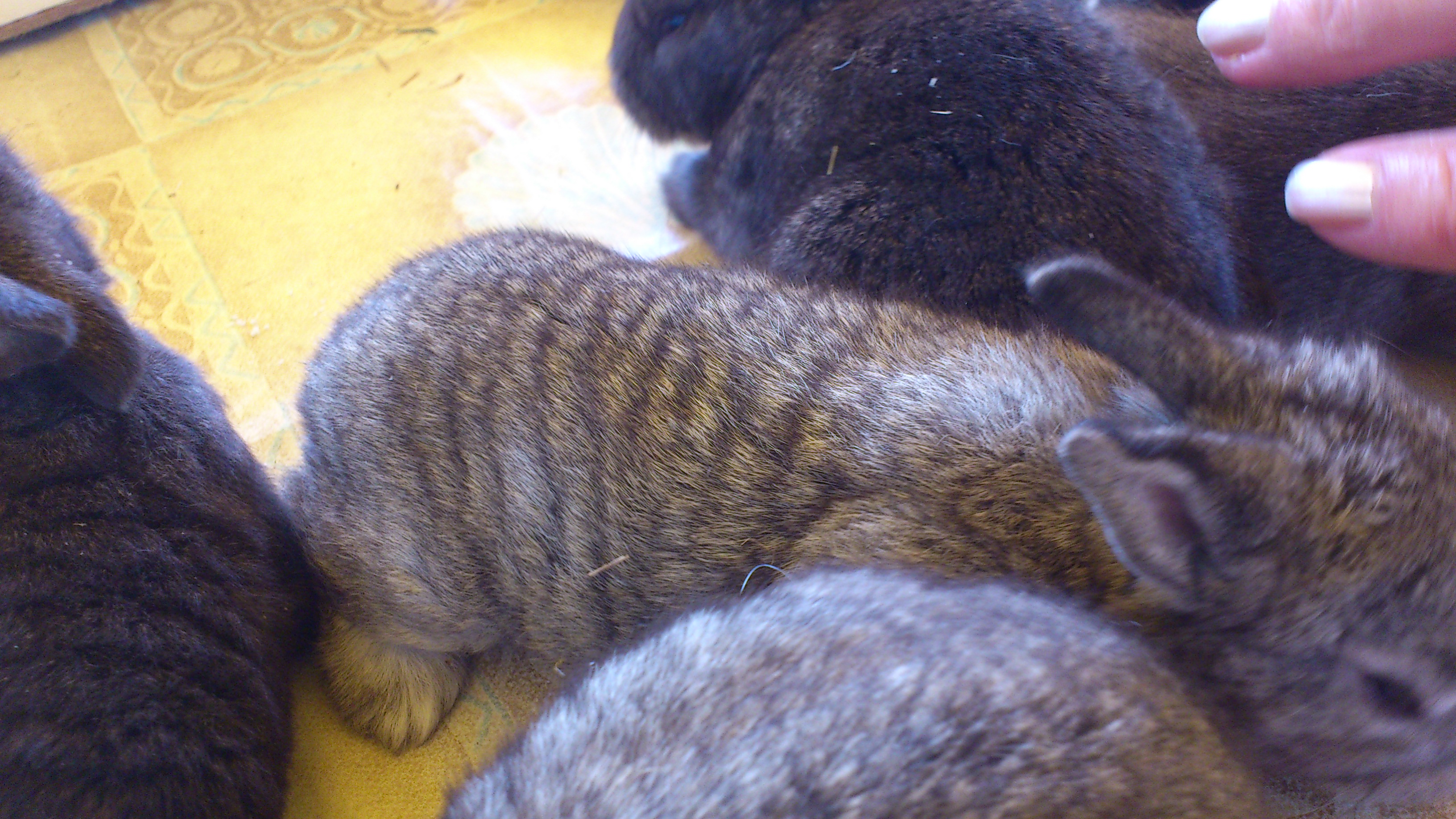 DSC_0216.jpg