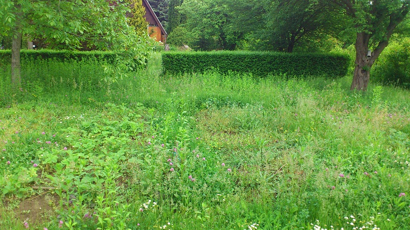 DSC_0298.jpg