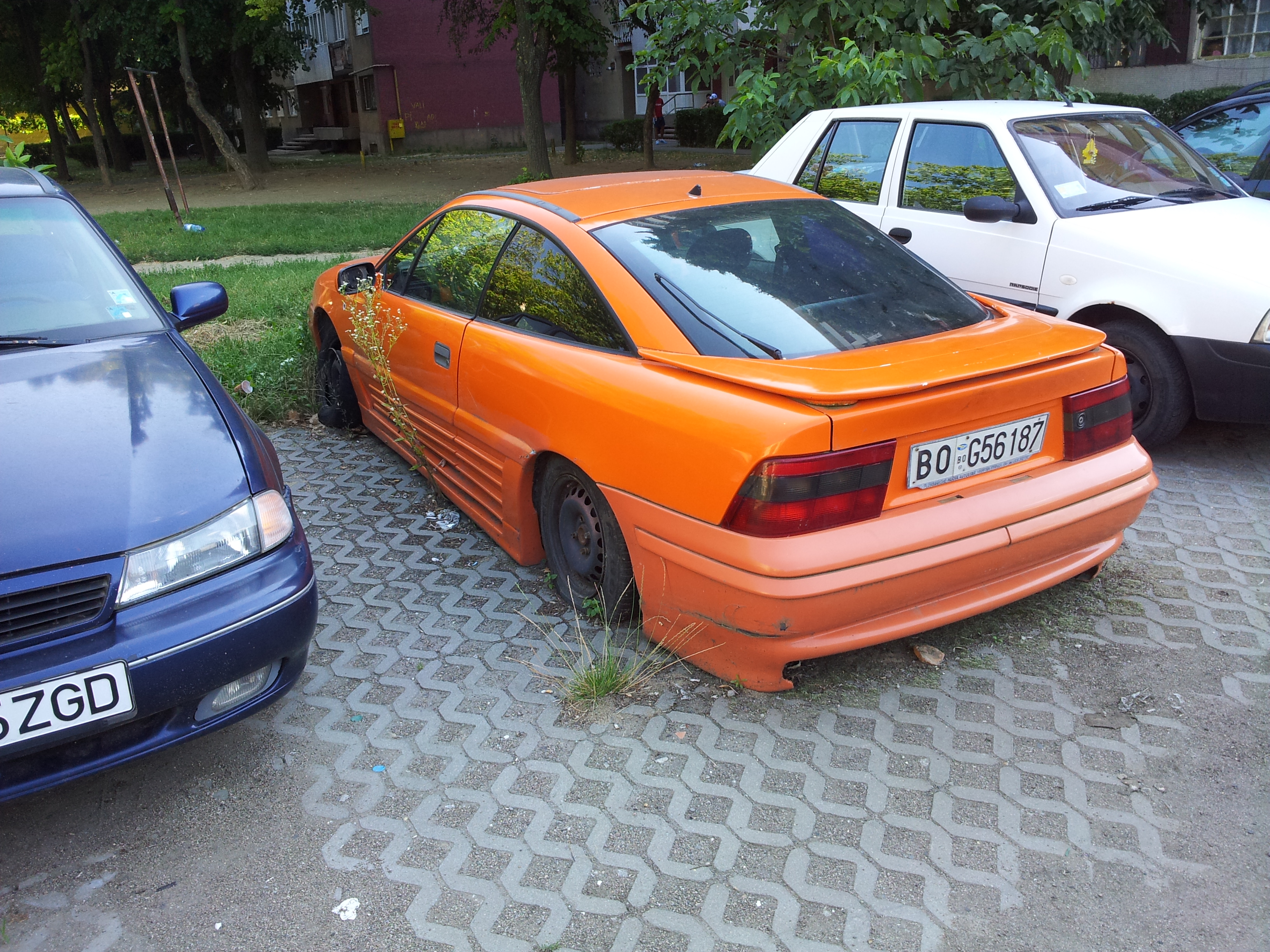 20130801_162617.jpg