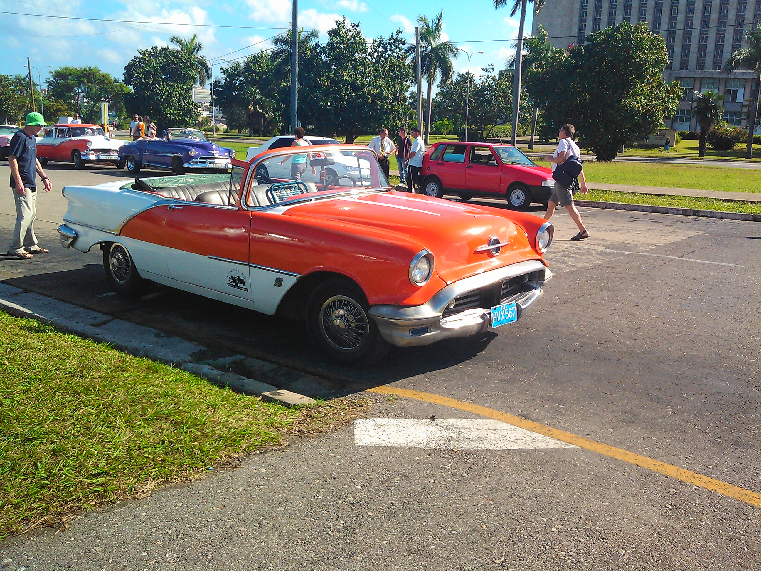 IMG_20140131_163513.jpg