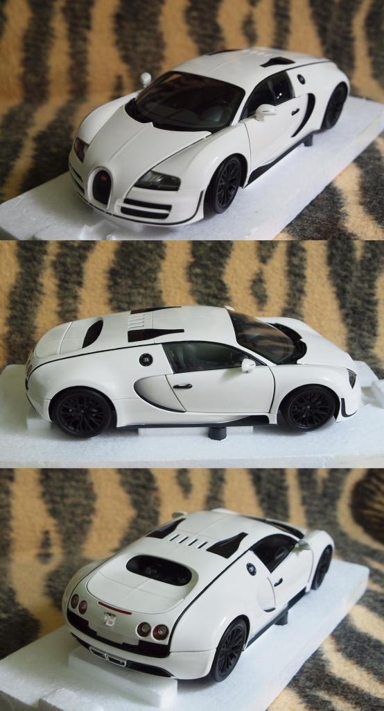 BugattiVeyronSuperSport2010_zps598b2741.jpg