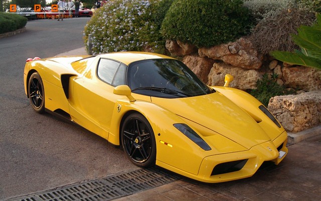 03_Enzo.jpg