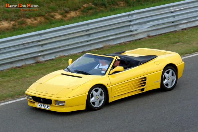 75_348spider.jpg