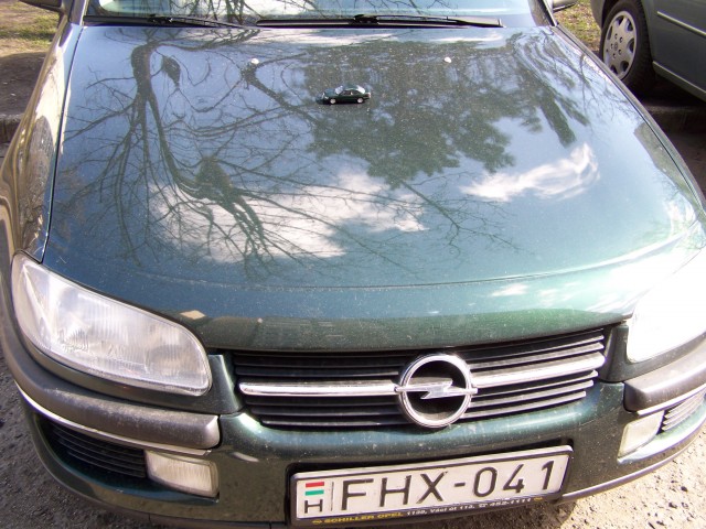 100_4071.JPG
