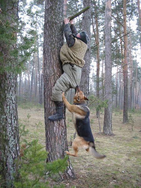 (3).jpg
