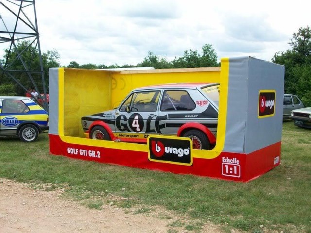6120232.jpg