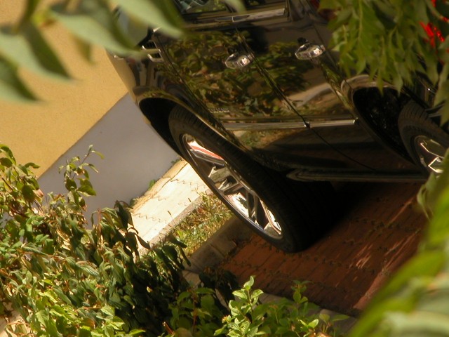DSCN3179.JPG