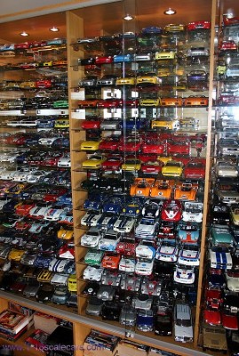 1Collection_pic_sept04_pic2[1].jpg