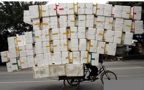 bike.jpg