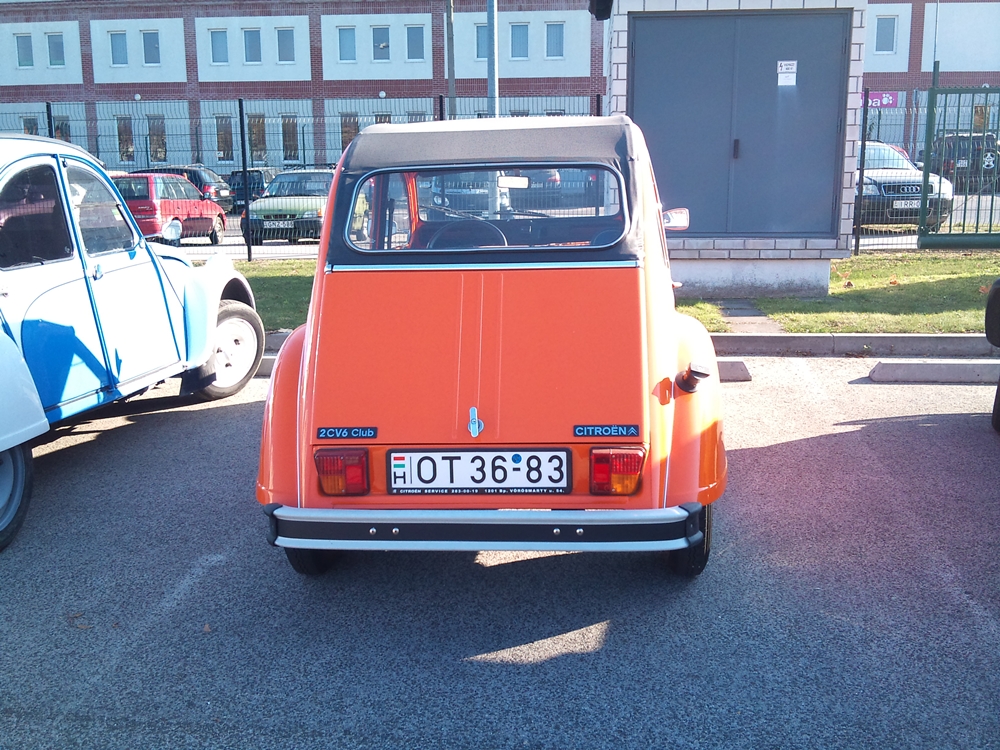 55.jpg