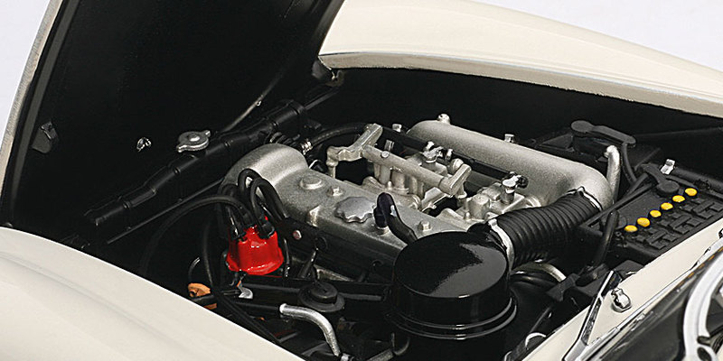 97996471.jpg