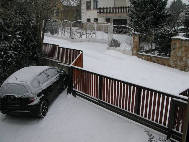IMG_9006.jpg