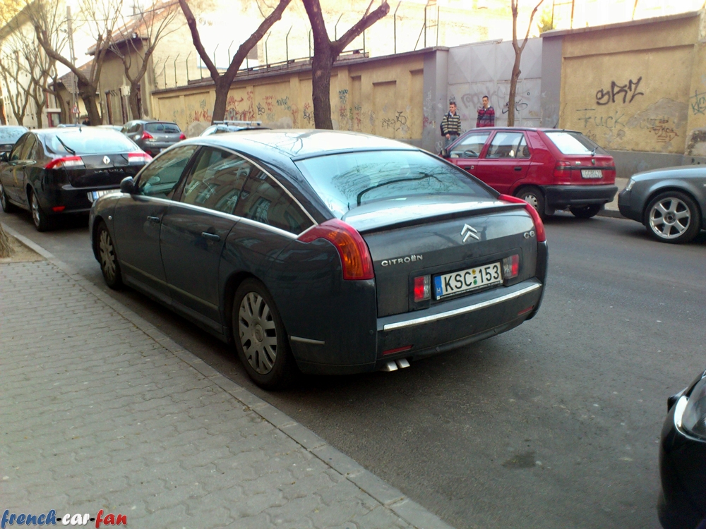 DSC_0558.JPG