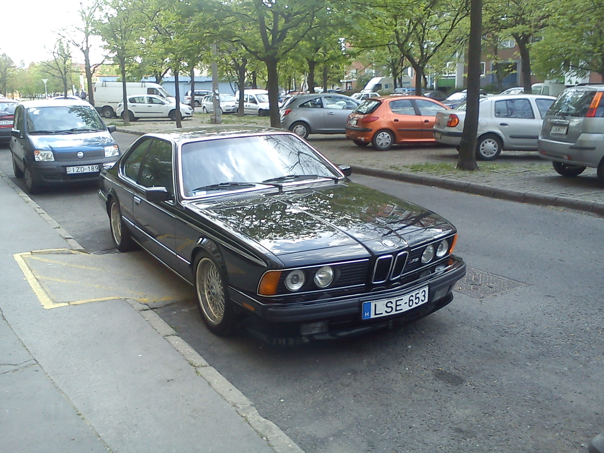 DSC00564.jpg
