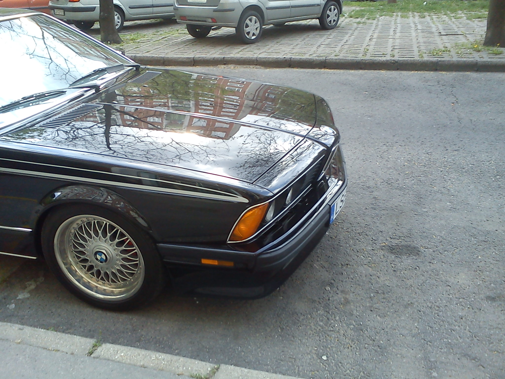 DSC00565.jpg