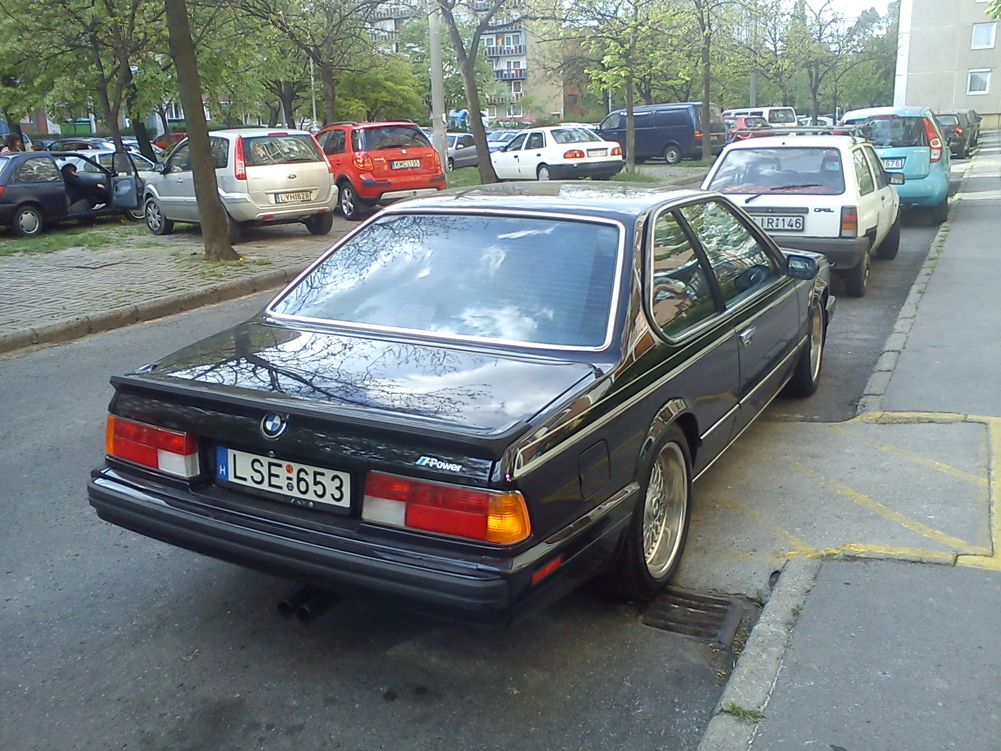 DSC00566.jpg