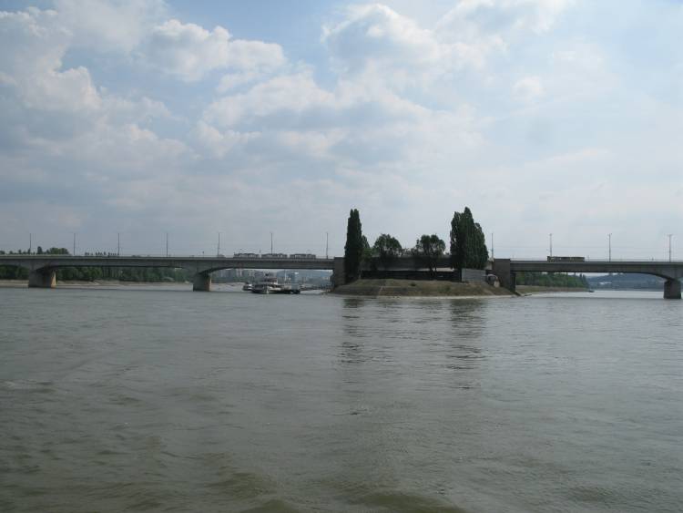 IMG_9962.jpg
