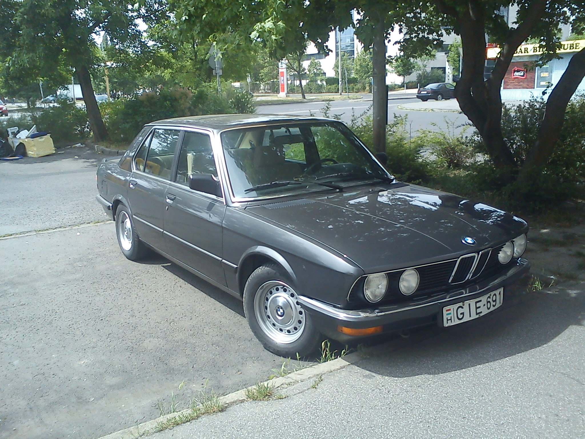DSC00640.jpg