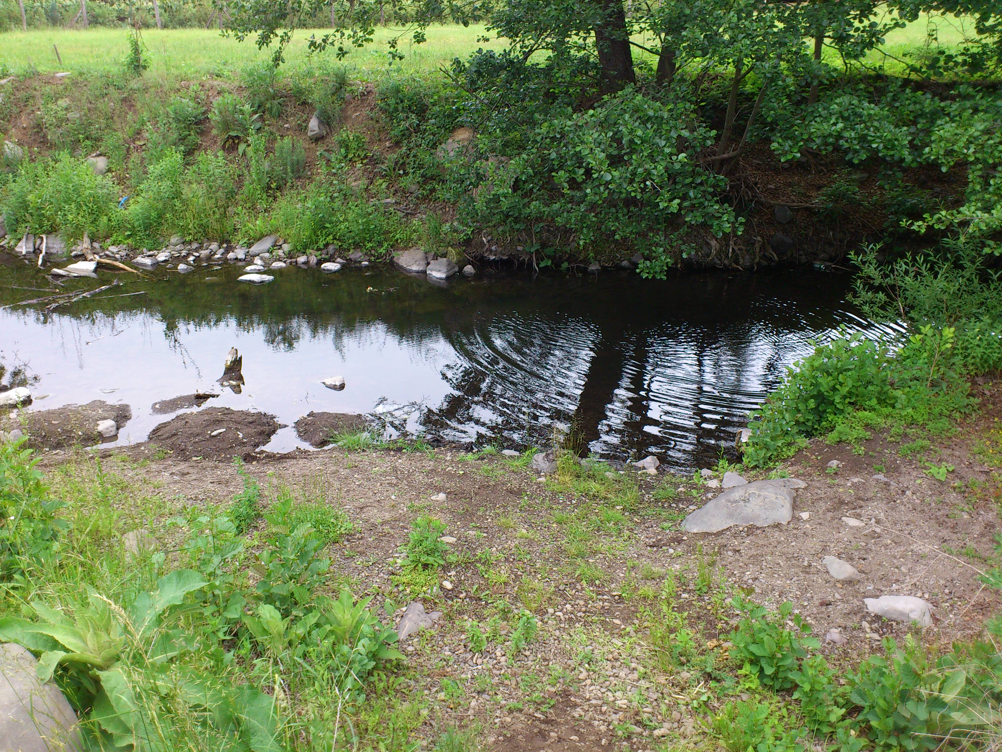 DSC_0015.JPG