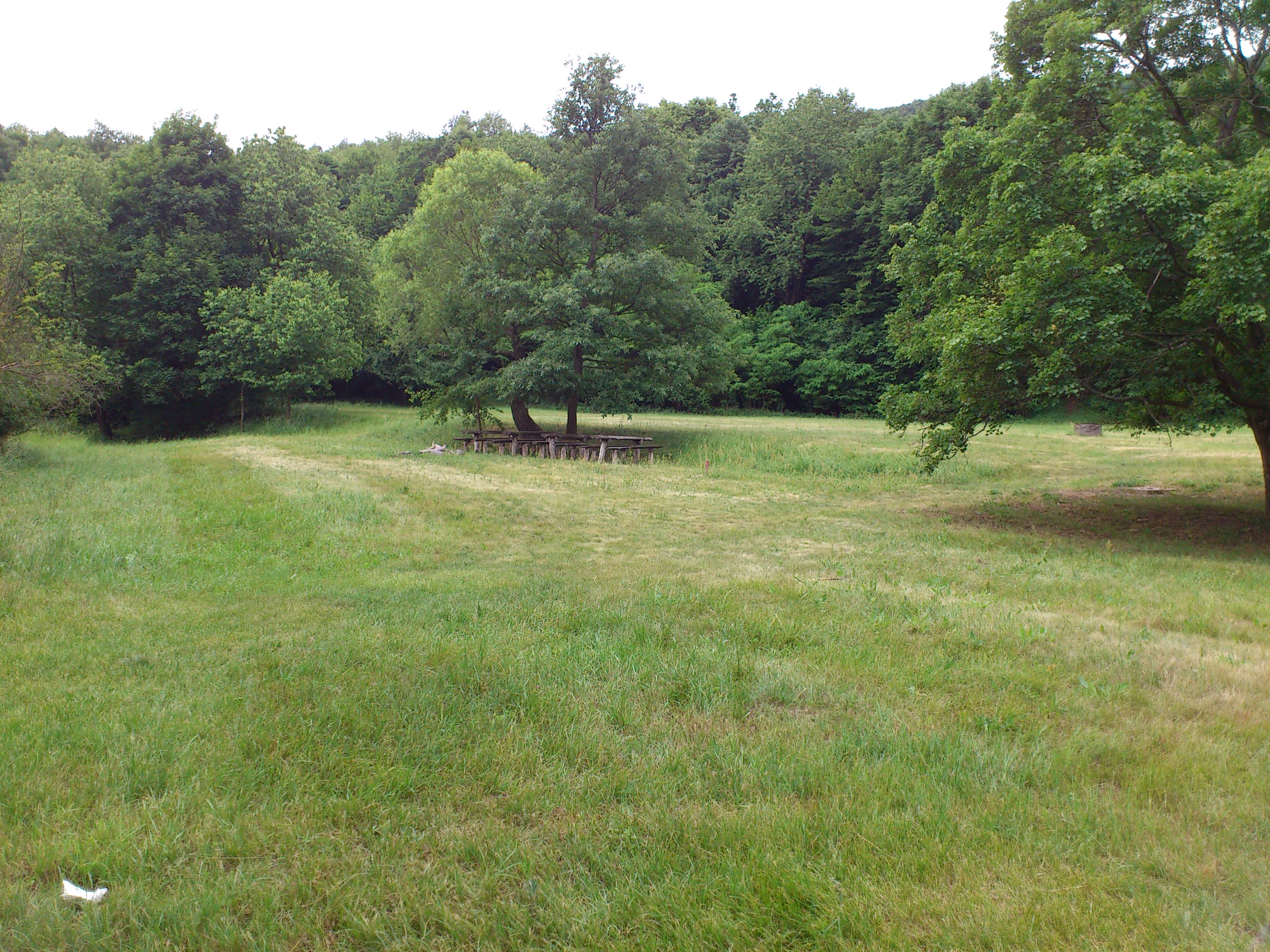 DSC_0016.JPG