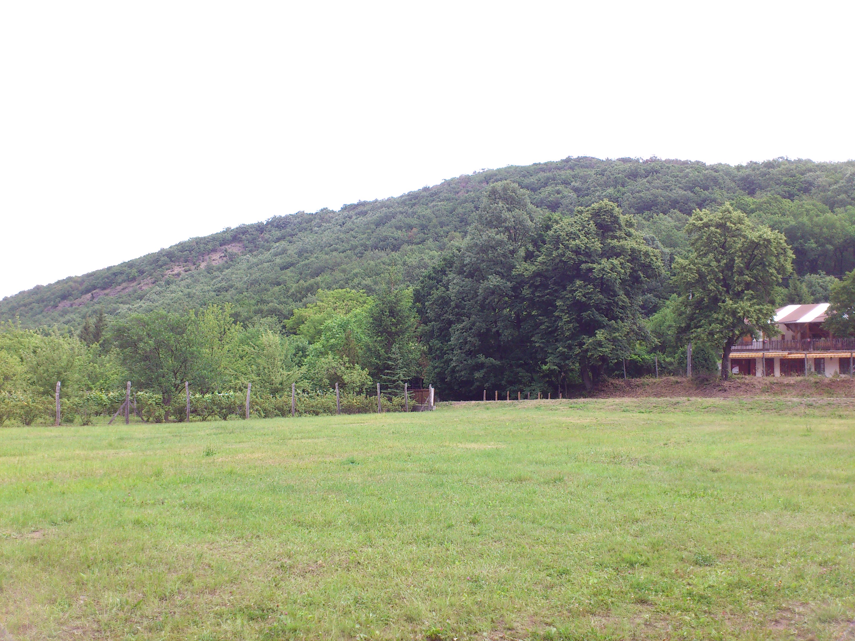 DSC_0018.JPG