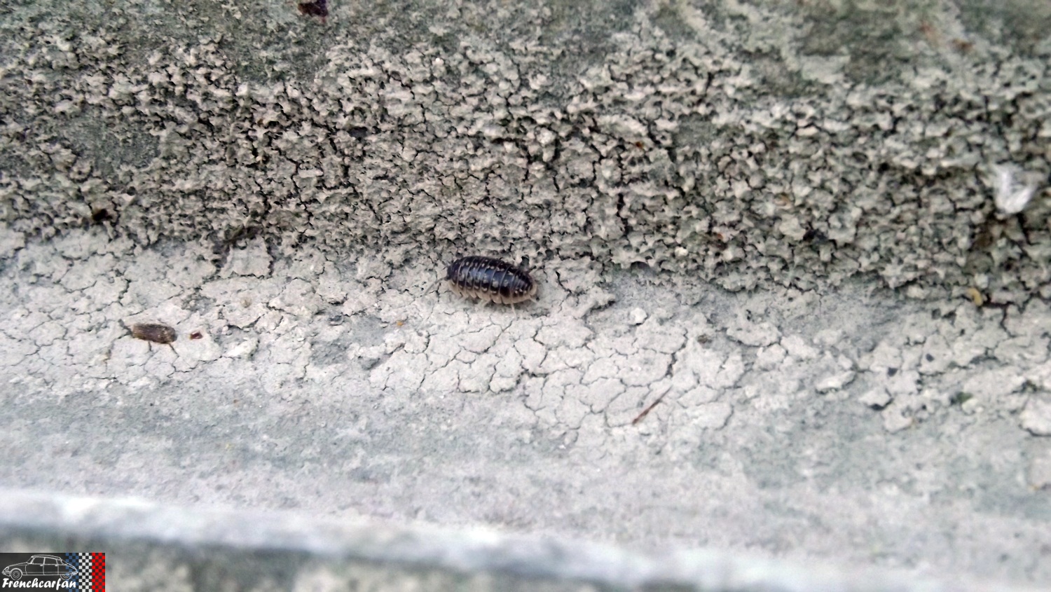 DSCF2707.JPG