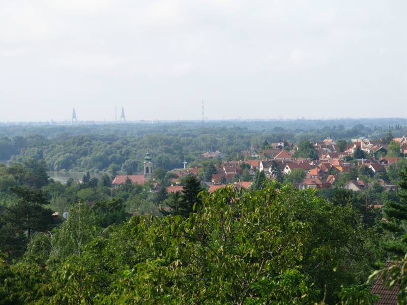 IMG_6390.JPG