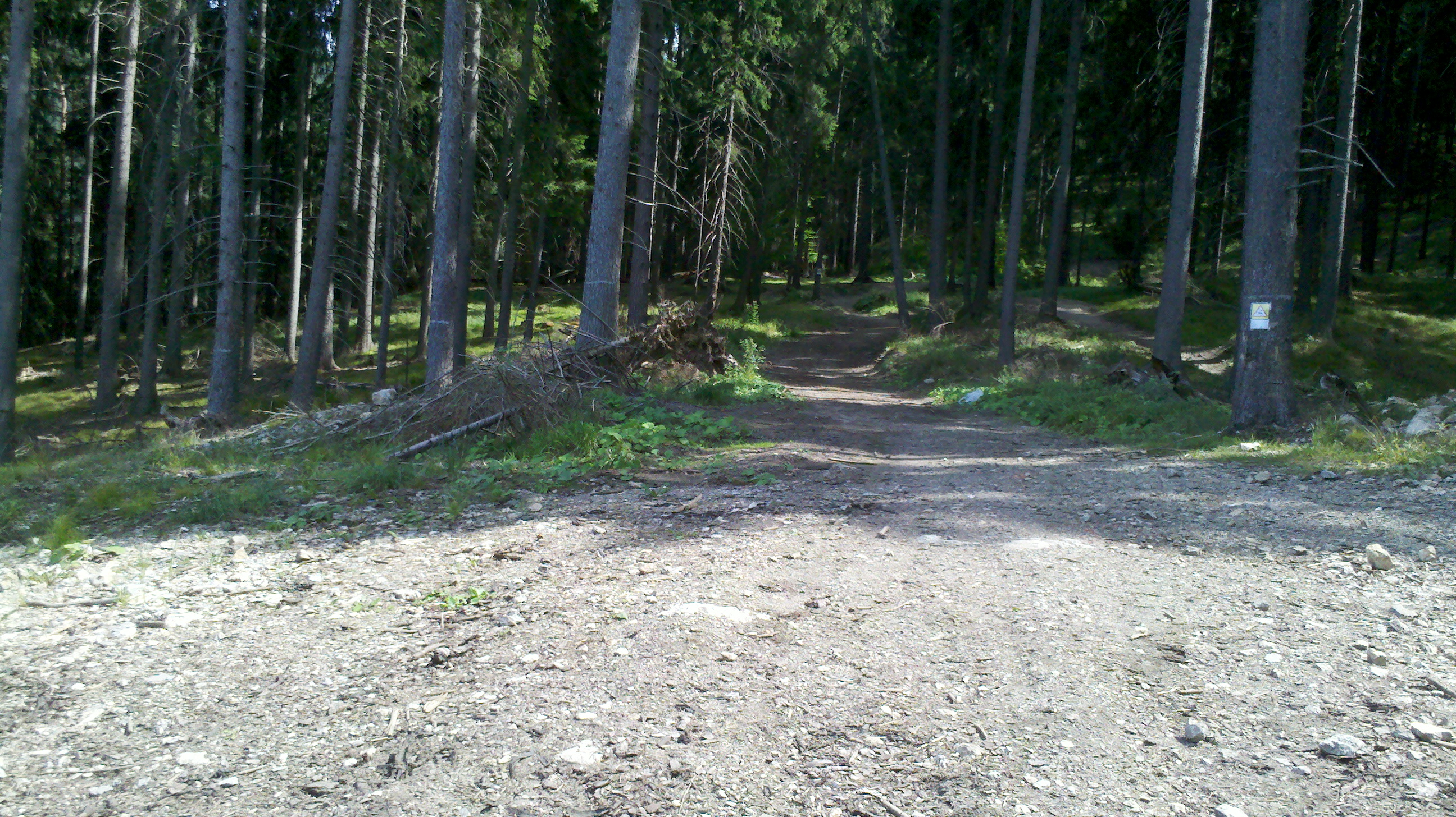 2012-08-18_14-01-04_312.jpg