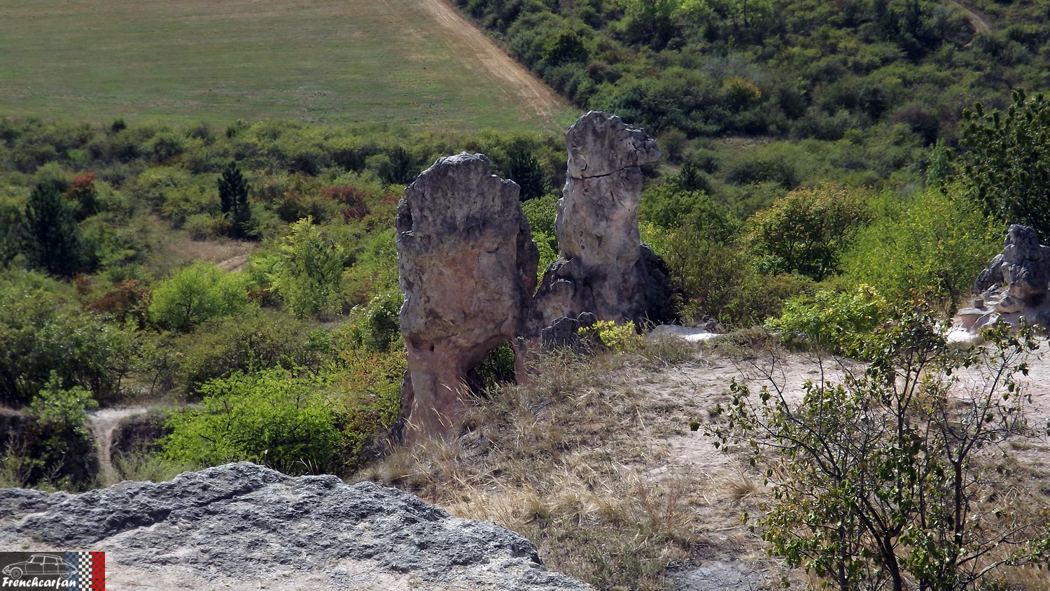 DSCF3246.JPG
