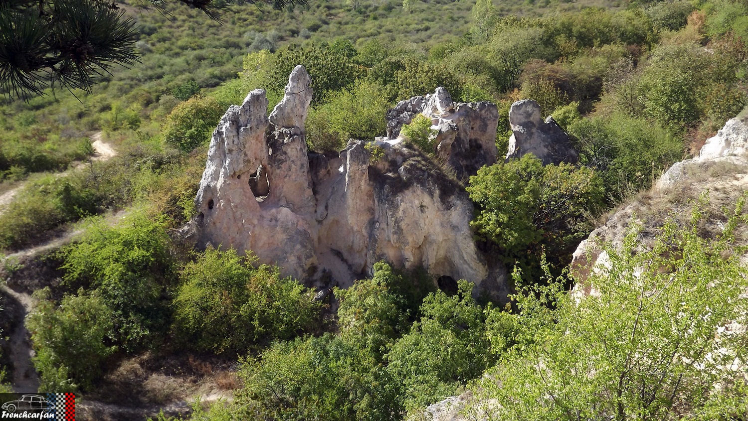 DSCF3248.JPG