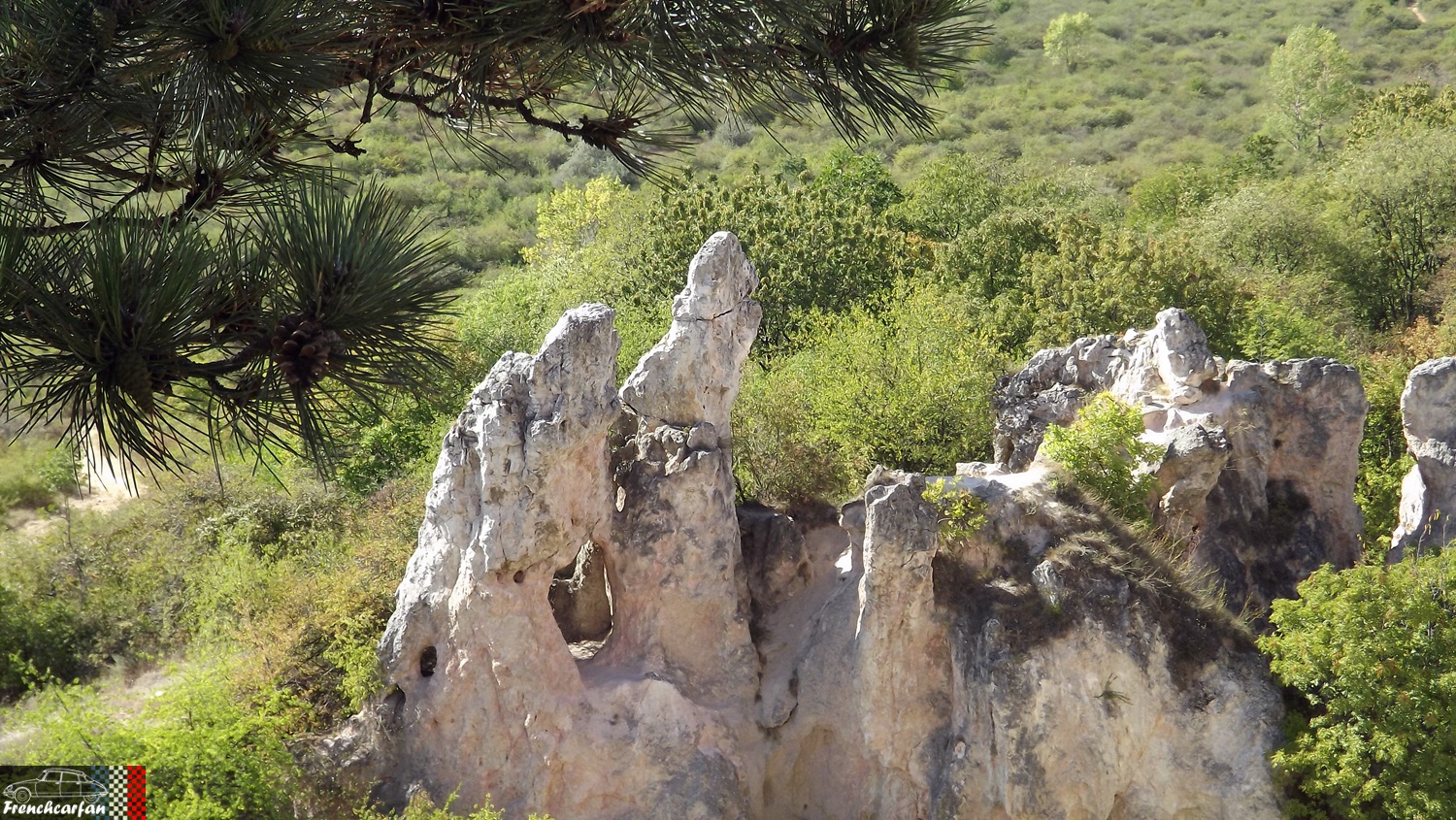 DSCF3251.JPG