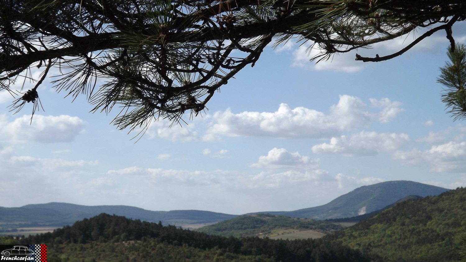 DSCF3255.JPG