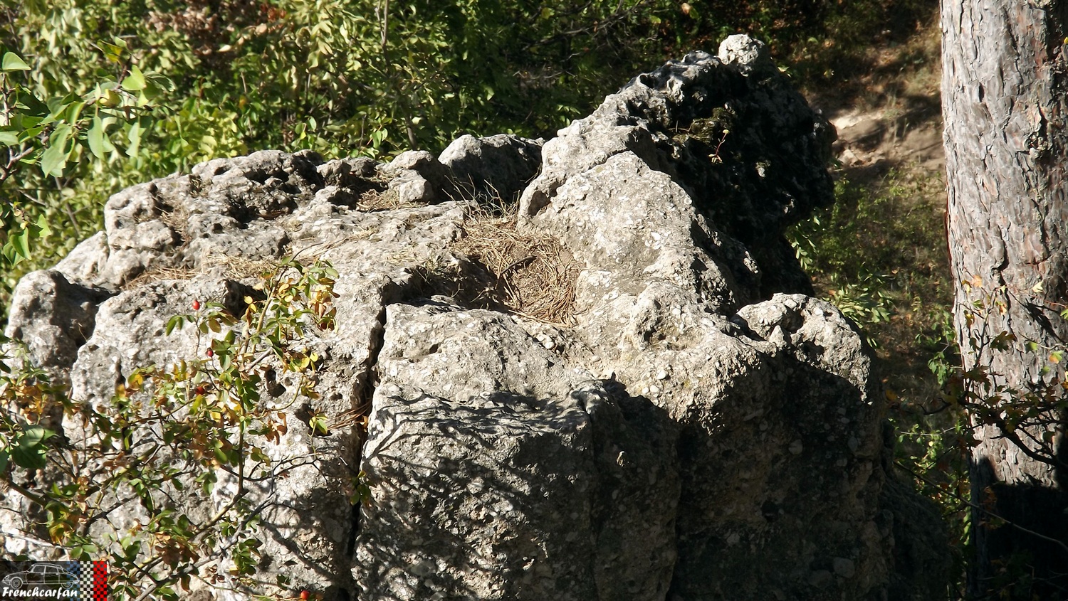 DSCF3256.JPG